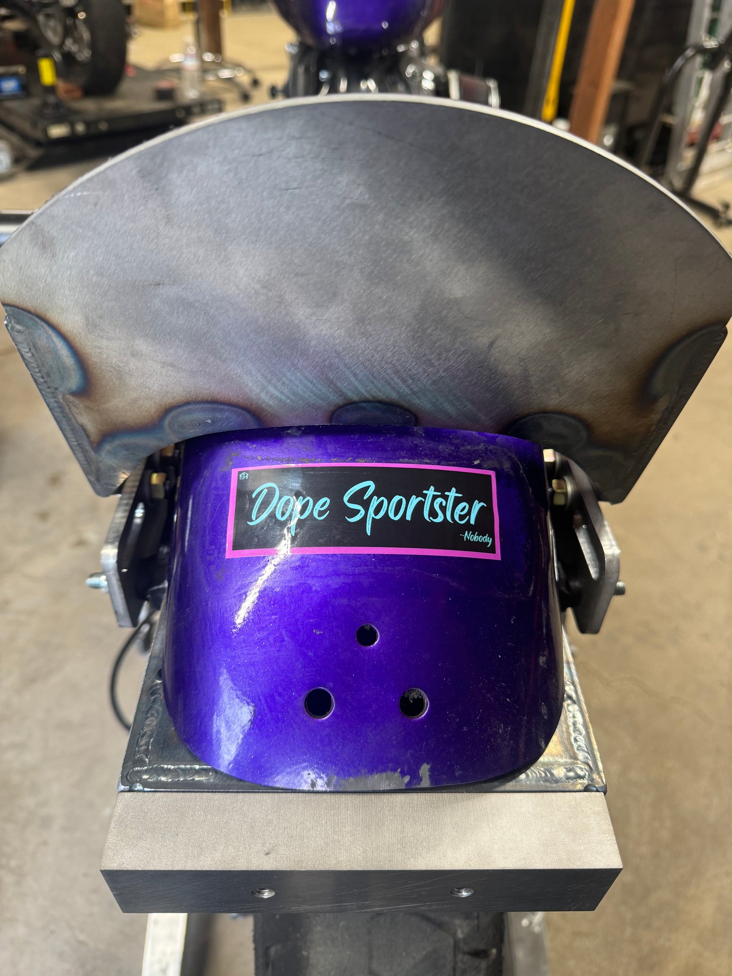 03 Down Sportster Step Plate