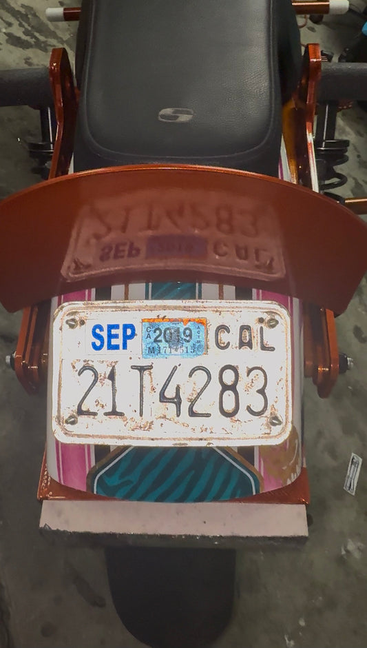 Rubber coated License plate Magnets (SHIPPING INCLUDED)